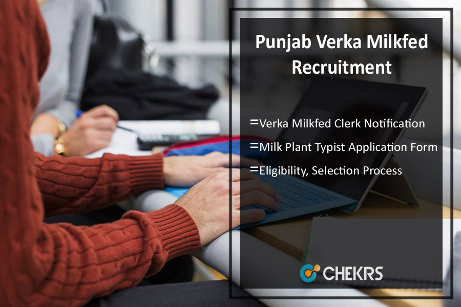 Punjab Verka Milkfed Recruitment 2024- Clerk/ Typist Vacancy